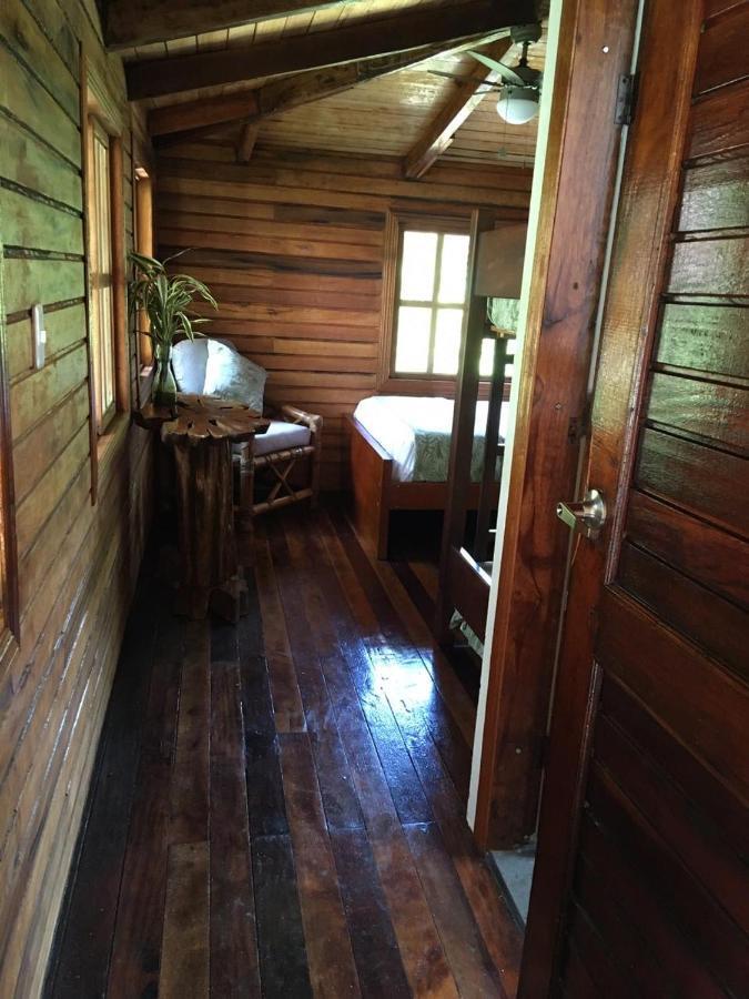 Guest House Great Hostels Amazon Пуьо Екстериор снимка